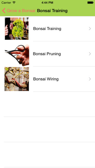 免費下載教育APP|Bonsai Starter app開箱文|APP開箱王