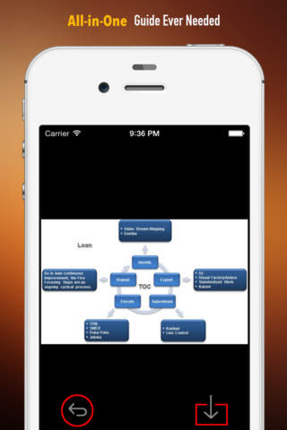 Theory of Constraints (TOC) Quick Study Reference: Cheat sheets with Glossary and Video Lessons screenshot 2