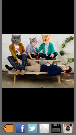 Cat Builder Free - Photo Bomb Pictures Instantly and Superimpose Funny Kitties on your Pics