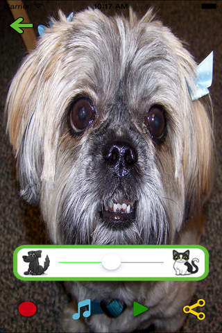 Talking Puppy Free - Make cats, dogs, and other pets speak in real time! screenshot 2