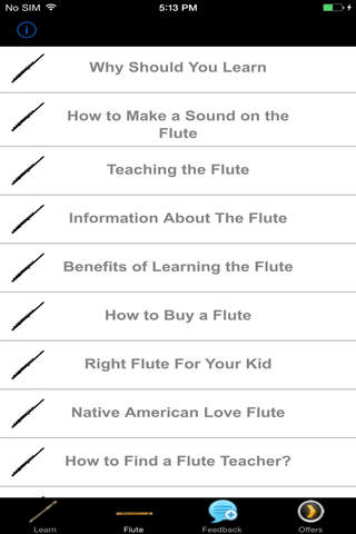 How To Play The Flute - Beginners Guide screenshot 3