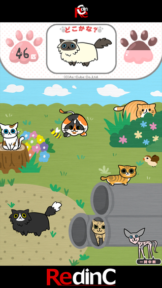 iPhone Screenshot 2