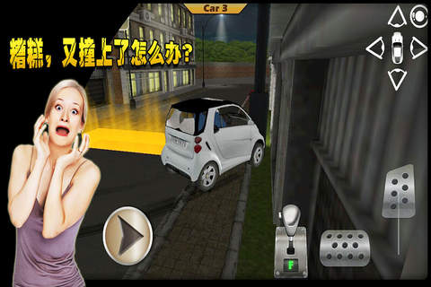 女司机的噩梦 3D screenshot 3