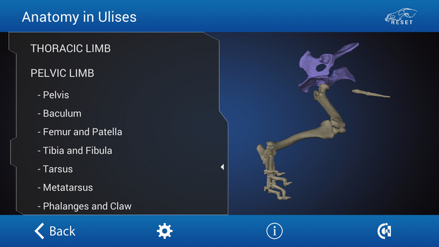 【免費醫療App】Osteology in Dogs-APP點子