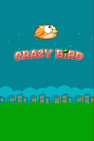 Crazy Bird 8 screenshot 2