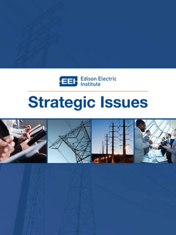 【免費商業App】EEI Strategic Issues-APP點子