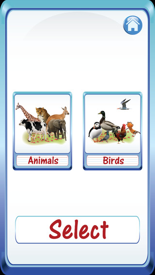 Kids safari jungle wild animals zoo birds flashcards for preschool kindergarten baby