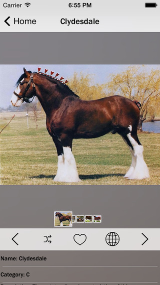 【免費教育App】Horse Breeds Collection Pro-APP點子