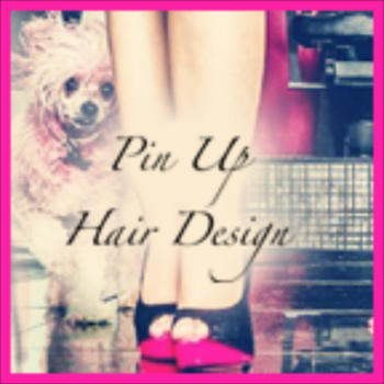 PinUp Hair LOGO-APP點子