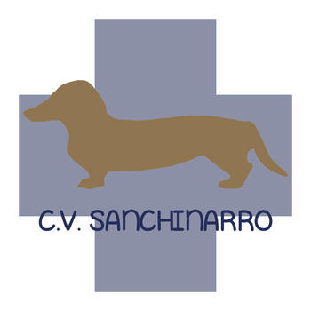 CVSanchinarro LOGO-APP點子