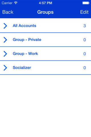Socializer - MultiAccount Posting screenshot 4