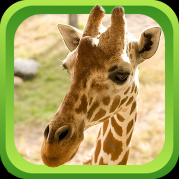 Wild Animal Games & Sounds - Teach Learn & Play LOGO-APP點子