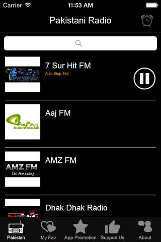 Pakistani Radio screenshot 3