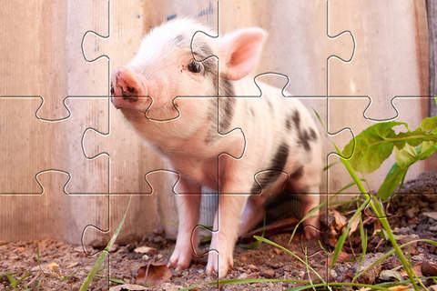 iPuzzleU Baby Animals 2 screenshot 4