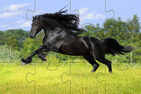 iPuzzleU Horses screenshot 2