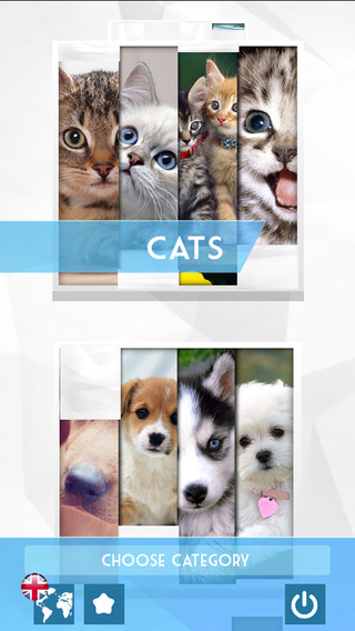 免費下載娛樂APP|Funny & Cute Animals HD Wallpapers - Adorable Pets: Free Background Pictures app開箱文|APP開箱王
