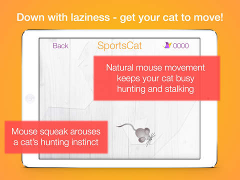 SportsCat - best sport app for cats screenshot 2