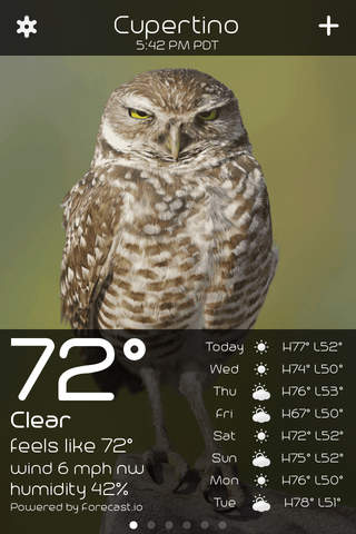 Owl Weather screenshot 3