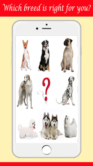 【免費遊戲App】Guess The Dog Breeds Foto Quiz - Watch Pet Doggie,Cute Pup or Hound Dog Pics & Answer Pedigree, New Fun Quizzes!-APP點子