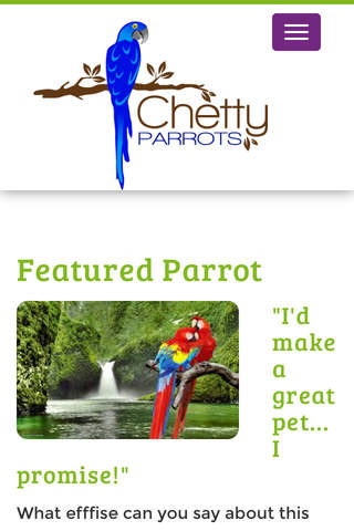 Chetty Parrots screenshot 2