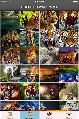 Tigers Wallpaper Tiger Cubs Wallpaper Tiger Puzzles screenshot 2