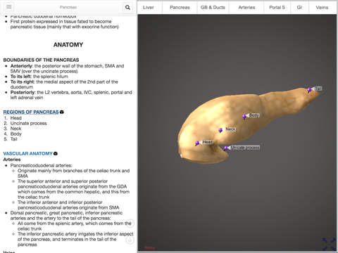Pancreas 1.0 screenshot 2