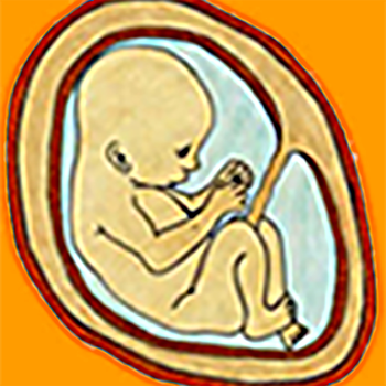 Fetal Kick Count LOGO-APP點子