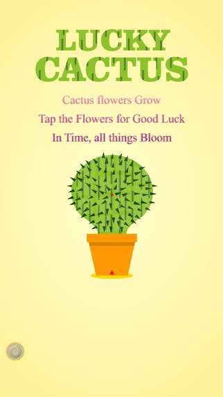 Lucky Cactus Lite
