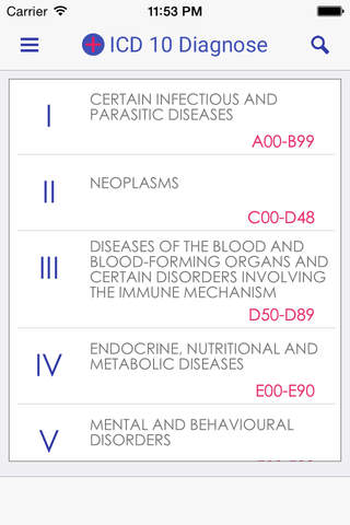 ICD 10 Diagnose screenshot 2