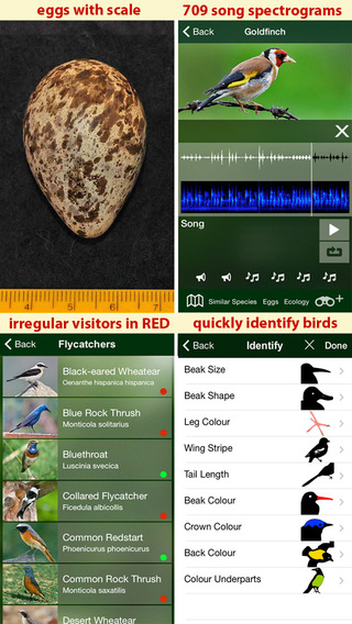 【免費書籍App】All Birds UK - A Complete Fieldguide to the Official List of Bird Species Recorded in Great Britain and Northern Ireland-APP點子