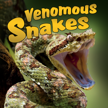 Venomous Snakes LOGO-APP點子