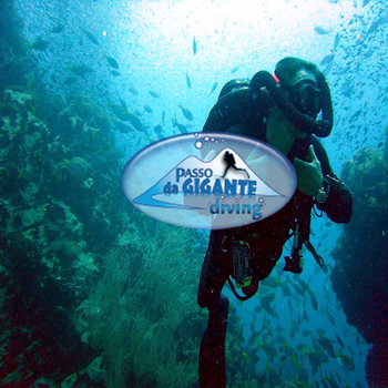 Passodagigante Diving Italy LOGO-APP點子