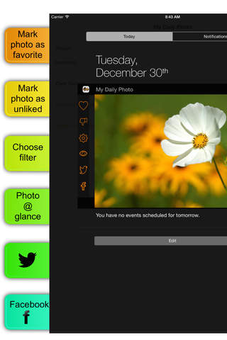 My Daily Photo Widget - random picker by album, date, favorites screenshot 3