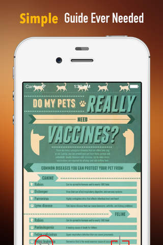 Pet Health 101:Guide and Tips screenshot 2