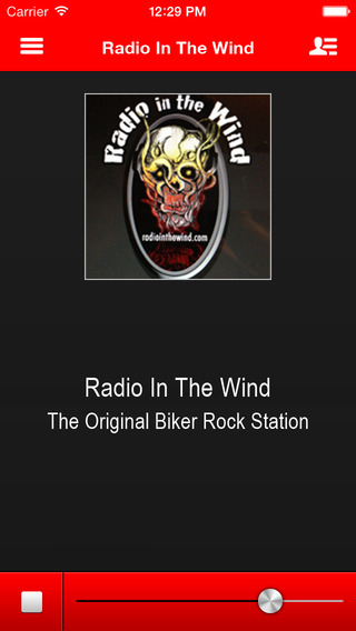 Radio In The Wind