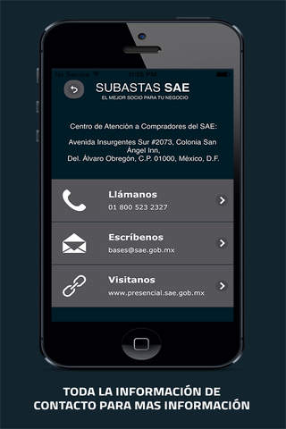 Subasta SAE screenshot 4