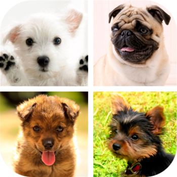 Dogs Wallpaper HD LOGO-APP點子