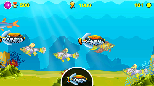 免費下載遊戲APP|Find D Fish app開箱文|APP開箱王