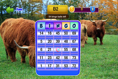 Animals Bingo Game screenshot 2