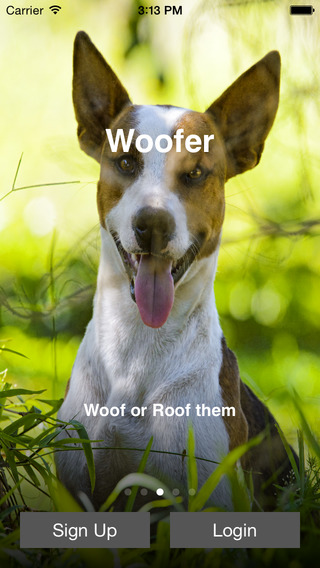 Woofer App