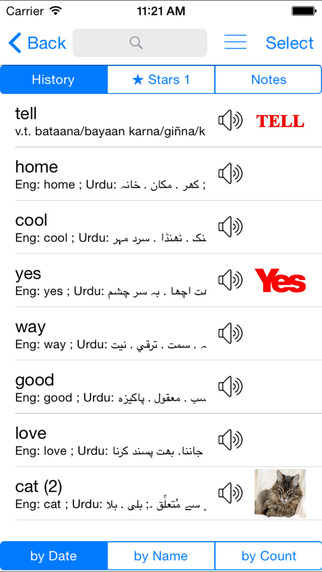 【免費書籍App】Urdu English Dictionary & Translator / انگریزی ارد و لغت-APP點子