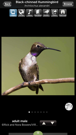 【免費旅遊App】Audubon Nature Pacific Northwest-APP點子