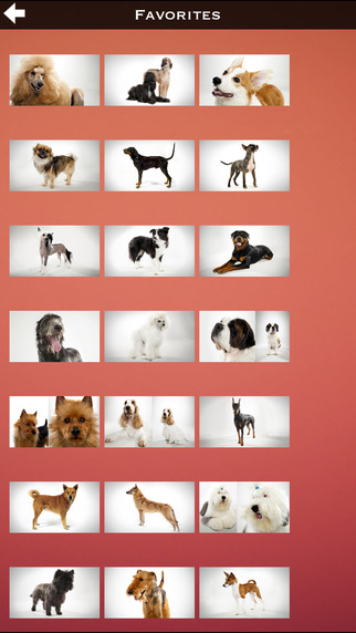 免費下載娛樂APP|Dogs Info Pro app開箱文|APP開箱王