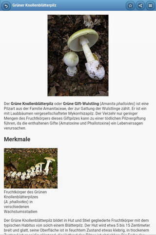 Directory of mushrooms screenshot 3