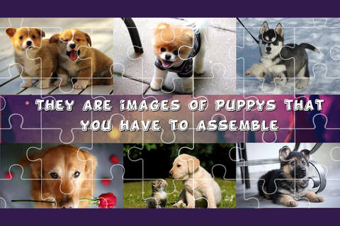 Puppy Puzzles Dogs for Kids screenshot 2