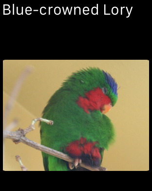 【免費娛樂App】Parrots Encyclopedia Pro-APP點子