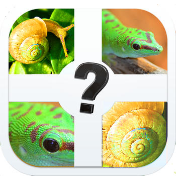 Zoomed Pic Quiz - Guess All The Animals In This Brand New Photo Trivia Game LOGO-APP點子