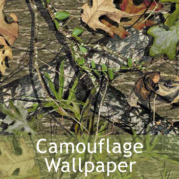 Camouflage Wallpaper 2015 LOGO-APP點子