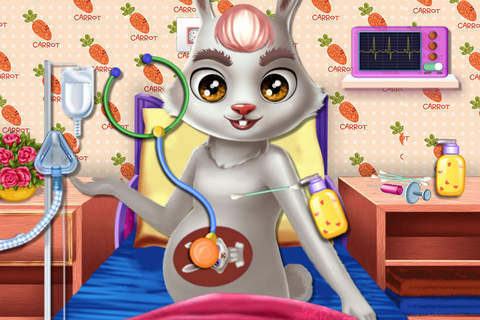 Bunny Mommy's Baby Record - Pretty Pets Check/Cute Infant Care screenshot 2