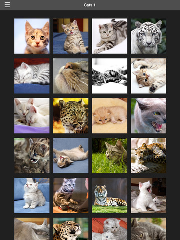 免費下載生活APP|Cats Wallpapers HD app開箱文|APP開箱王